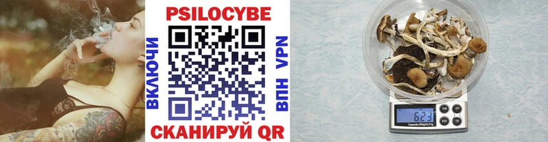 Псилоцибиновые грибы Magic Shrooms  Купить закладки  Куртамыш 